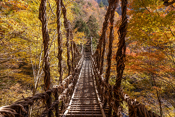 Tokushima_1