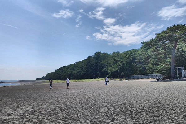 Shizuoka_1