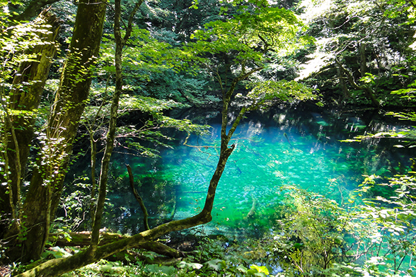 Aomori_1