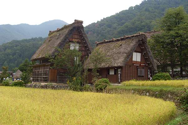 Gifu_1