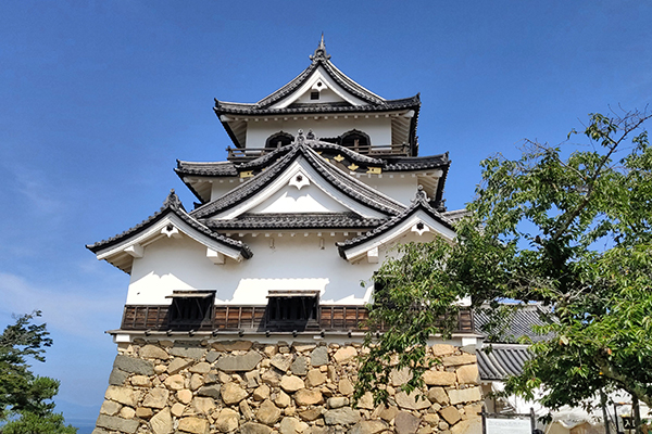 Shiga_2