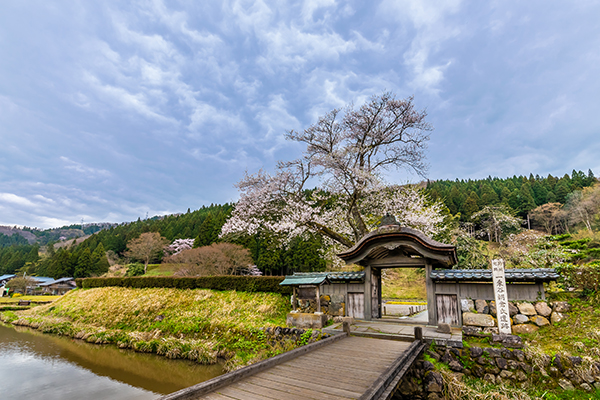 Fukui_2