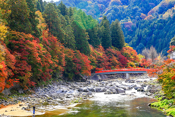 Aichi_2