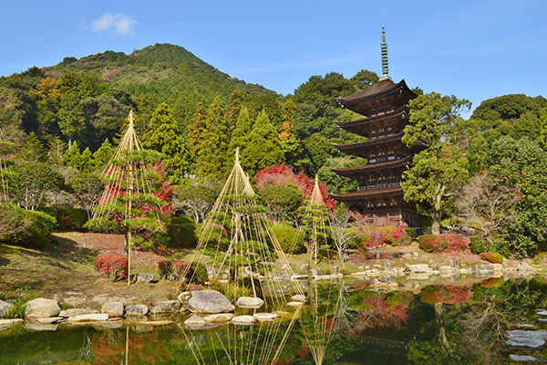 Yamaguchi_2