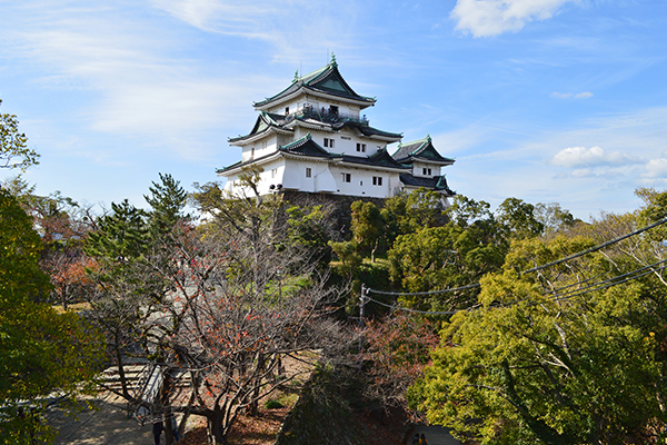Wakayama_2