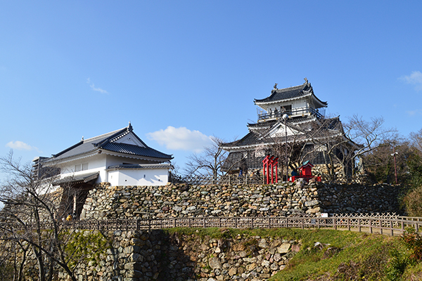 Shizuoka_3