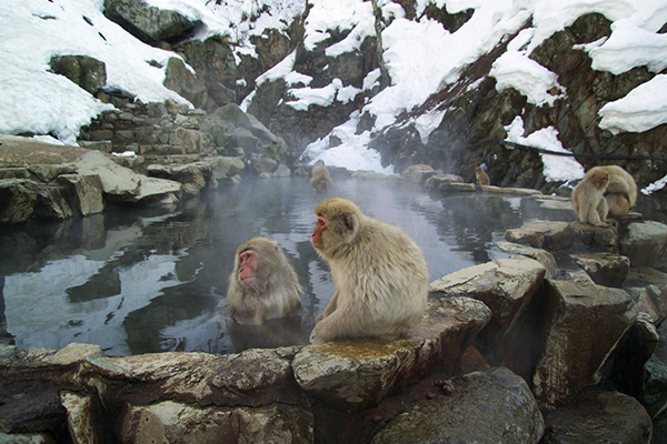Nagano_3