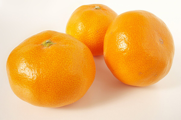 Ehime_3
